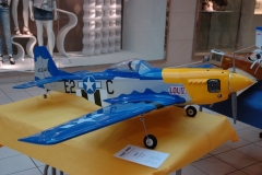 07_Expo_Geric