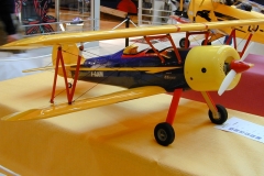 05_Expo_Geric
