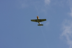 IMG_4879